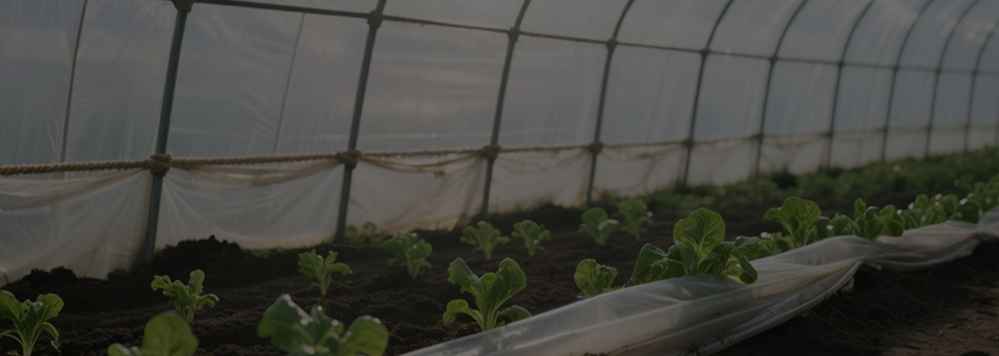 Chemikálie na každodenné použitie